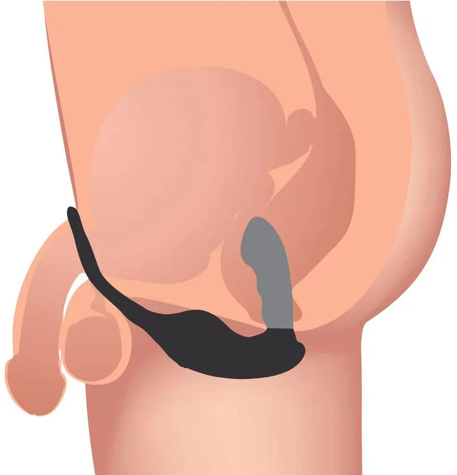 Alpha-Pro 7X P-Strap Milker Vibrating Prostate Stimulator With Cock & Ball Harnesss - Image 2