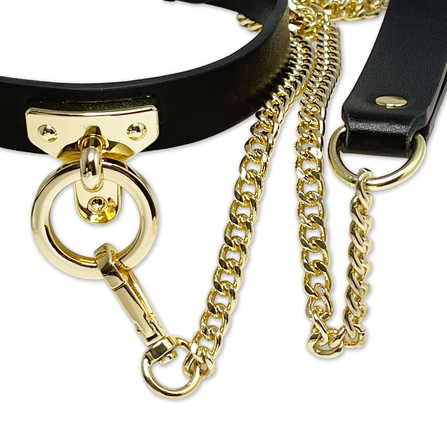 Black and Gold Collar and Leash Set by Fetish Pleasure Play - Image 3