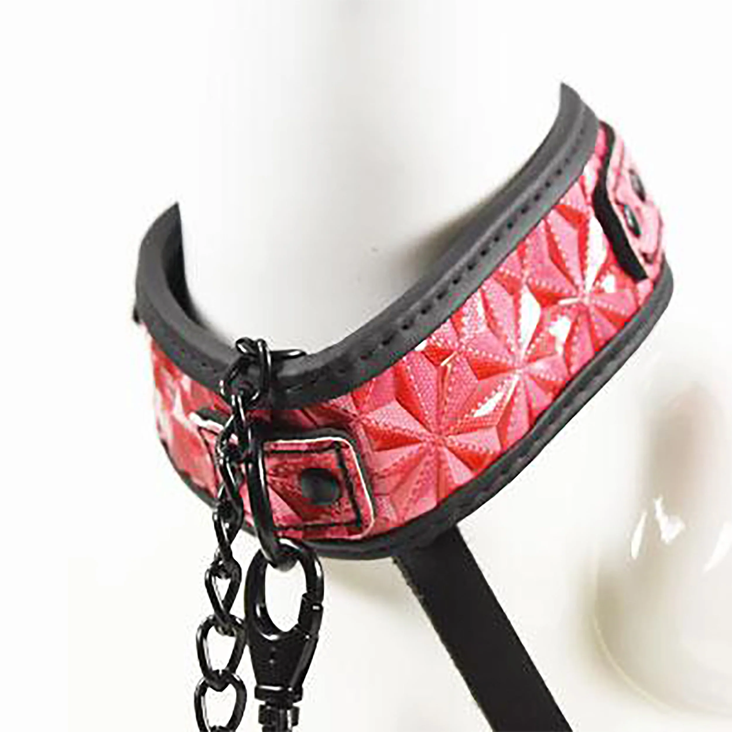Fetish Pleasure Play Pink Passionate Collar w/Leash - Image 3