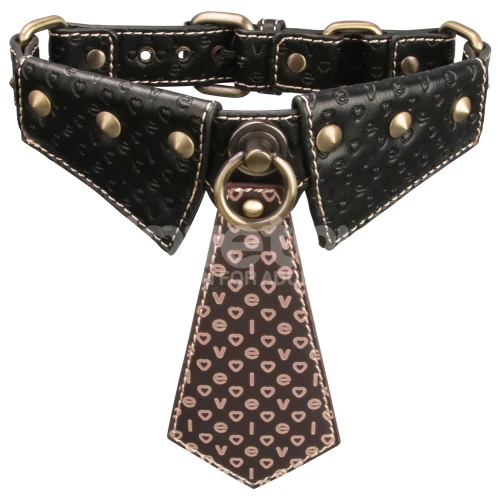 Rebellion Reign Collar and Leash by LoveToy - Image 3