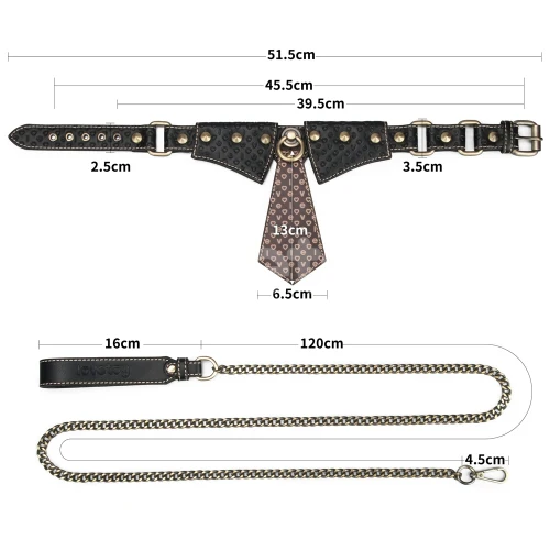 Rebellion Reign Collar and Leash by LoveToy - Image 4