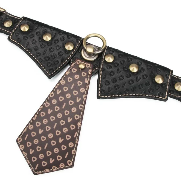Rebellion Reign Collar and Leash by LoveToy - Image 5