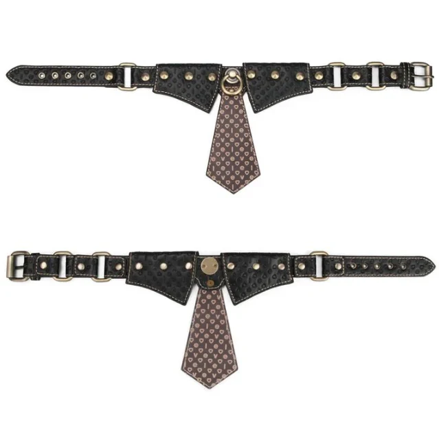Rebellion Reign Collar and Leash by LoveToy - Image 7