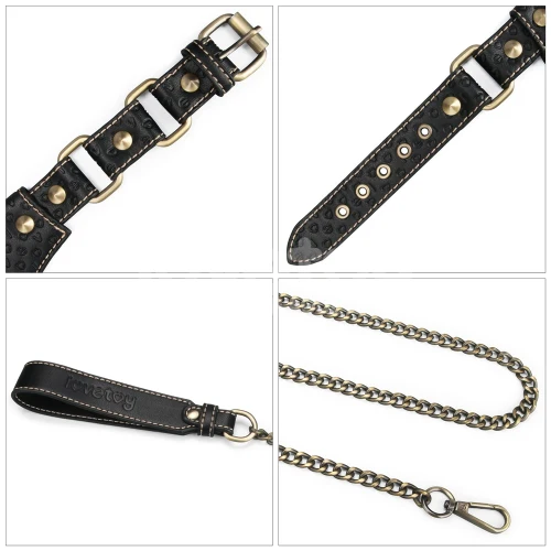 Rebellion Reign Collar and Leash by LoveToy - Image 8